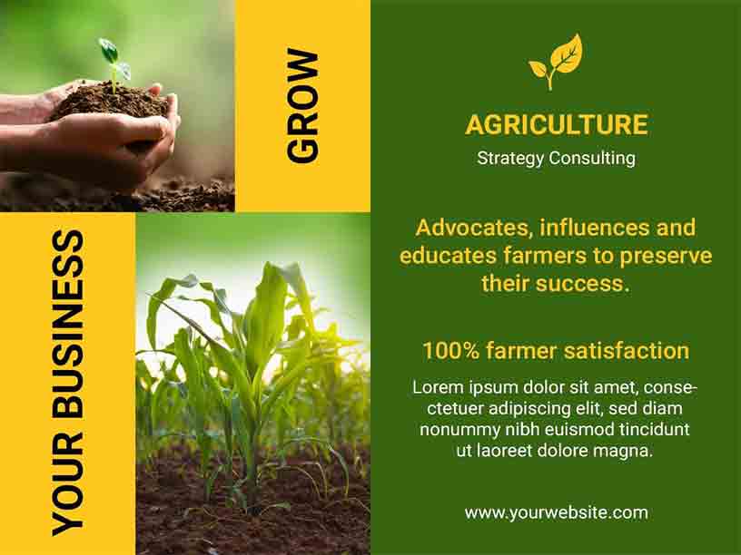 Collage Bi-fold Strategy Consulting Agriculture Brochure Template