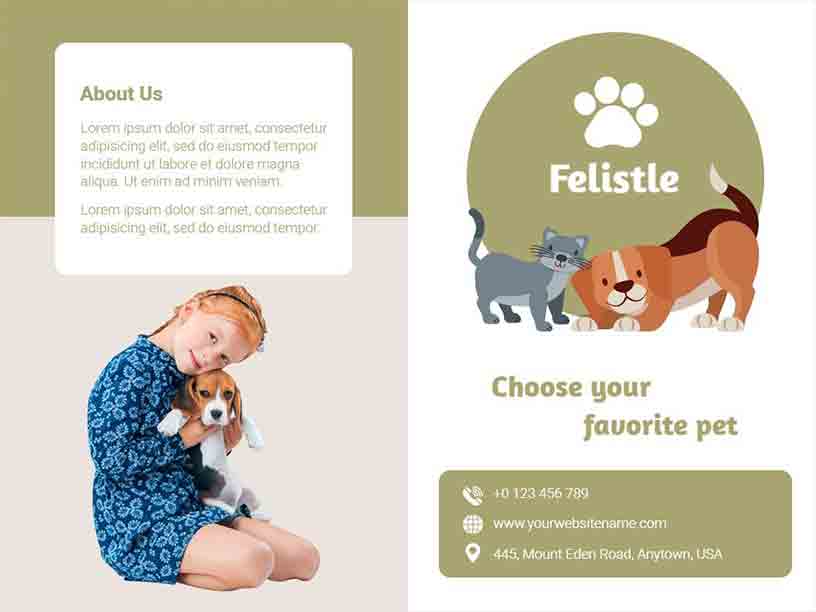 Bi-fold Felistle Favorite Pet Brochure Template