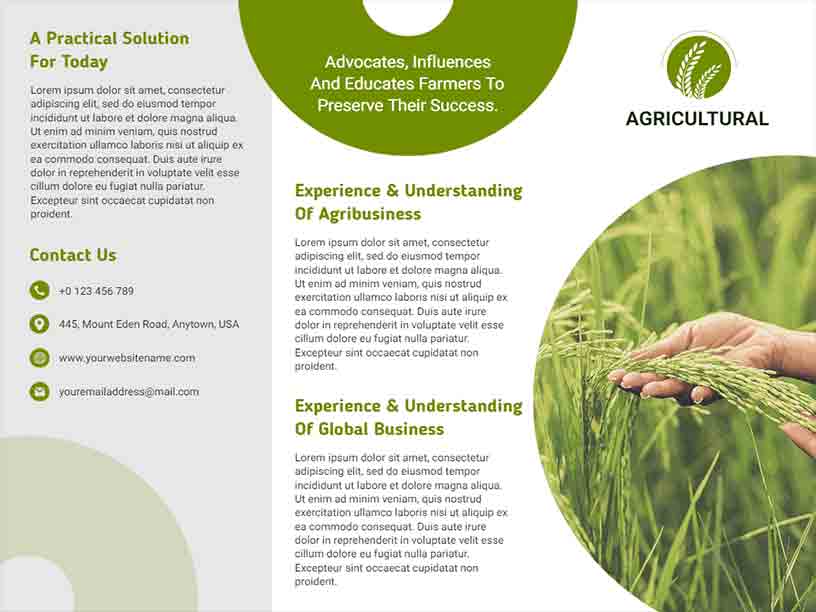 Global Business Agriculture Brochure Template
