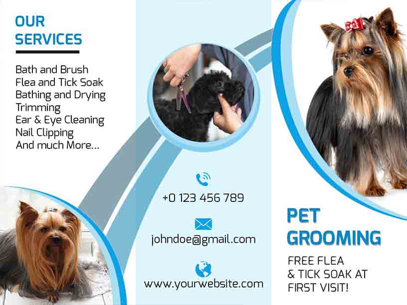 Tri-fold Pet Grooming Services Pet Brochure Template