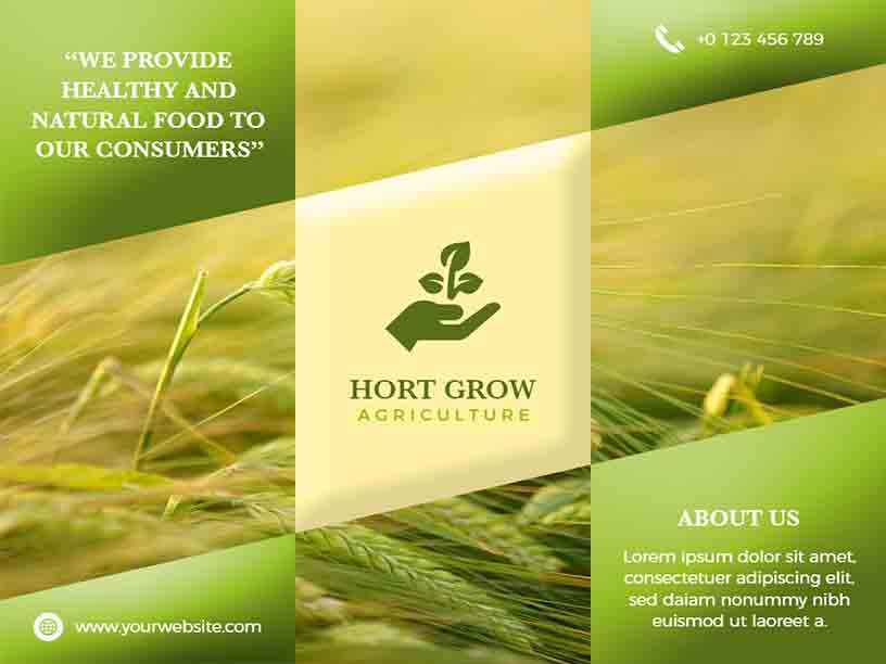 Checks Hort Grow Agriculture Brochure Template