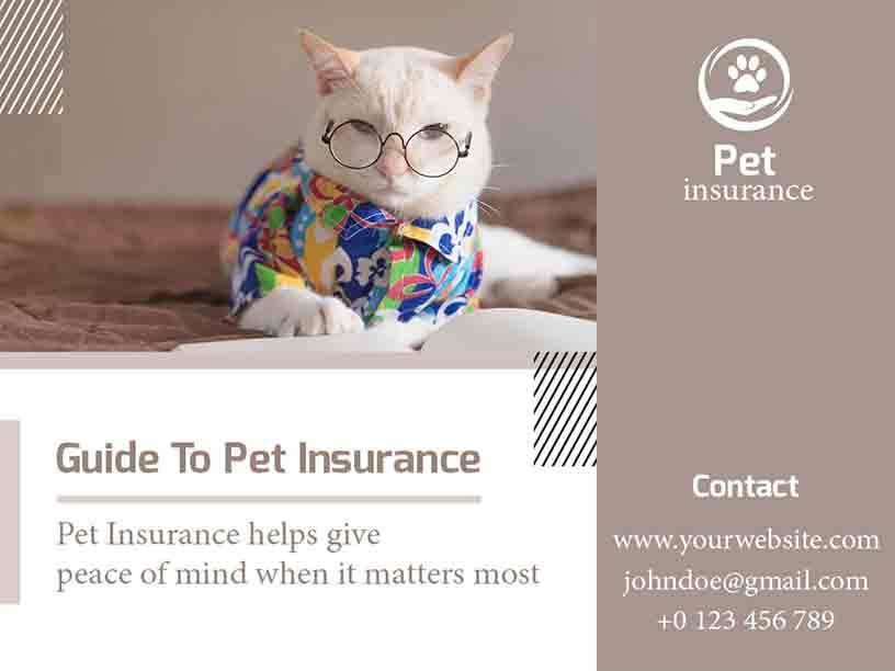 Abstract Pet Insurance Service Pet Brochure Template