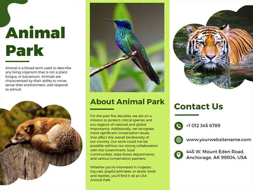 Animal Park Tri-fold Brochure Template