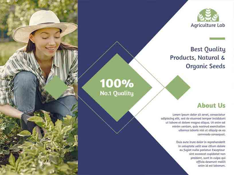 Natural & Organic Seeds Lab Agriculture Brochure Template