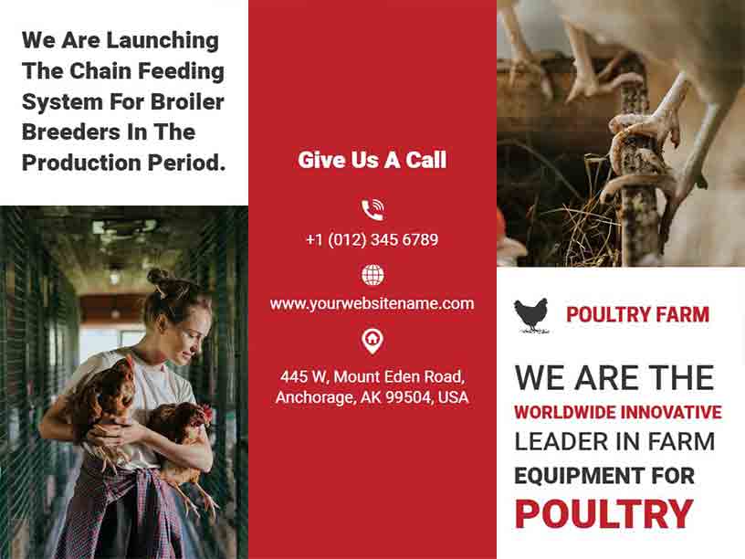 Red and White Tri-fold Collage World Wide Poultry Farm Agriculture Brochure Template